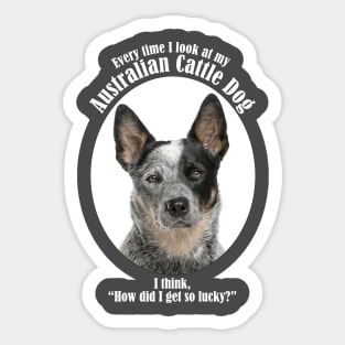 Lucky Australian Cattle Dog Sticker